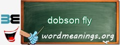 WordMeaning blackboard for dobson fly